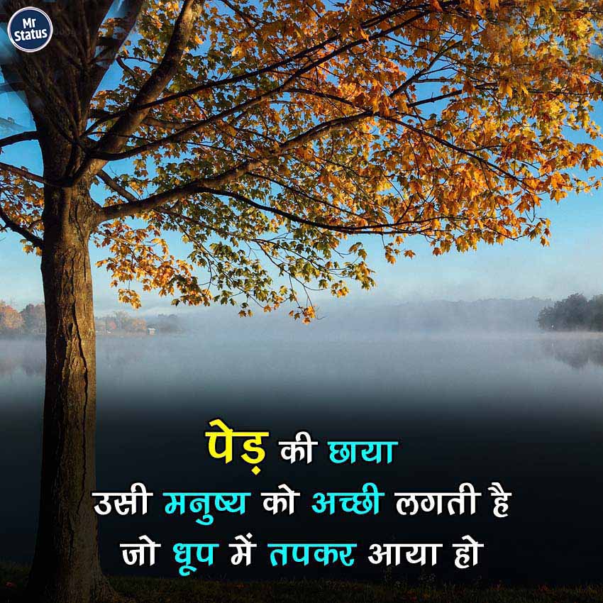 Download free status image